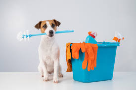 10 Easy Cleaning Tips for Pet Owners: Keeping a Fresh and Clean Home with Pets